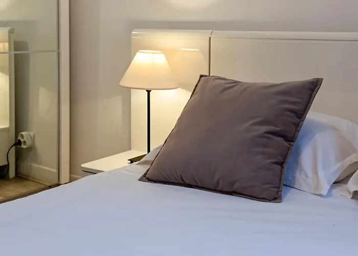 Le Flaubert Appartement Et Parking En Centre Ville